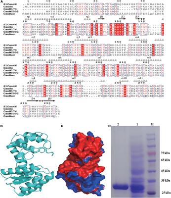 Controllable preparation of chitosan oligosaccharides via a recombinant chitosanase from marine Streptomyces lydicus S1 and its potential application on preservation of pre-packaged tofu